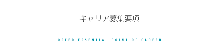 キャリア募集要項