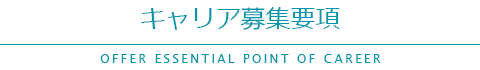 キャリア募集要項