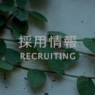採用情報